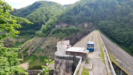 Ne enervează: Barajul de la Leșu e abandonat de 7 ani, fundul lui se transformă în pădure! (FOTO)