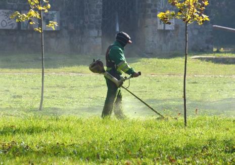 Verde la sac! RER Vest le oferă orădenilor o soluţie la îndemână pentru a scăpa de iarba tăiată