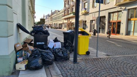 Fără saci pe pietonale: Firmele din centrul Oradiei trebuie să dețină pubele pentru deșeuri, nu saci