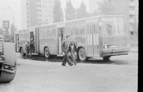 Oradea ieri, Oradea azi: Cum a evoluat circulația cu autobuze în oraș