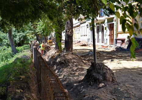 Ne enervează: Copacii care umbresc parcul de pe strada Libertăţii, în pericol să dispară
