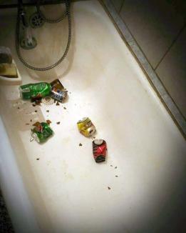 Ne enervează: O orădeancă din Rogerius s-a trezit cu gunoaie aruncate în casă prin geamul de la baie
