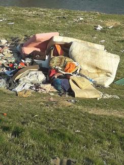 Răsar gunoaiele: Șofer prins că debarasa deșeuri pe malul Crișului în Oradea (FOTO)