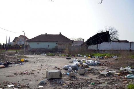 Dezastrul de lângă noi: Depozit de gunoaie, la intersecţia străzilor Griviţei cu Eftimie Murgu