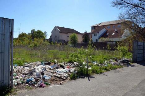Gunoiul din vecini: Orădenii de pe strada Mareşal Averescu se învecinează cu un teren plin de gunoaie