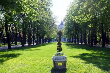 Verde în chirie: Noi contracte pentru întreţinerea spaţiilor verzi şi parcurilor mari din Oradea