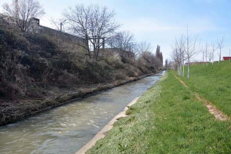 Lumi paralele pe Peţa: Un mal al pârâului din Oradea este năpădit de bălării și mizerii, celălalt este curat (FOTO)