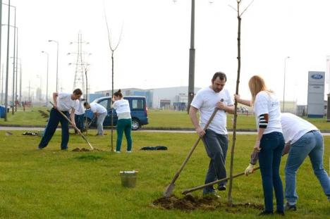 Pregătiri pentru plantări: 350 de arbori vor fi sădiţi în această toamnă în Oradea
