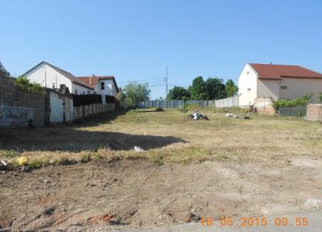Amendaţi de Poliţia Locală, proprietarii terenului cu gunoaie de pe strada Averescu l-au curăţat