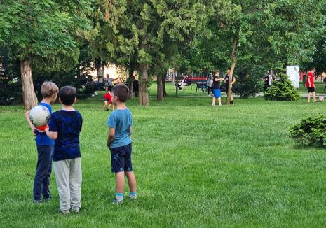 Jungla din parc: În loc să pună pază, Primăria Oradea vrea să monteze camere de luat vederi în parcuri
