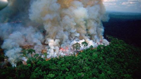 Catastrofă ecologică: Pădurea amazoniană este în flăcări de peste două săptămâni. Focul ar fi fost pornit de fermieri (FOTO / VIDEO)