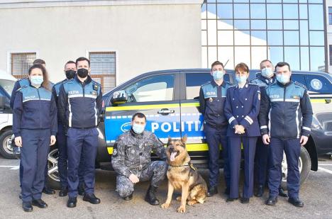 Şefa Poliţiei Animalelor din Bihor: 'Un animal ţi-l asumi pentru toată viaţa lui'