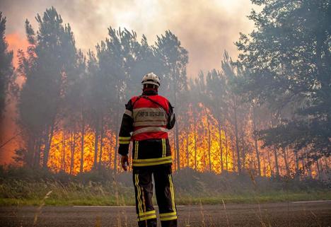 An de foc în Europa: Incendiile de pădure au ars o suprafață record, România este a doua țară, în clasamentul statelor afectate