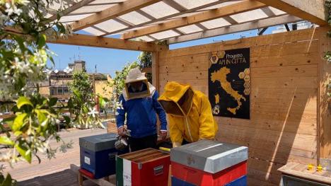 Albine-informatori: De ce au devenit carabinierii italieni apicultori