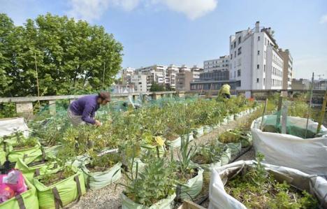 Liber la grădini pe străzile Parisului