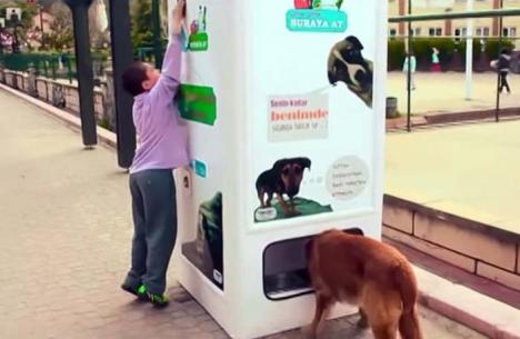 Deşeuri reciclate şi câini sătui (VIDEO)