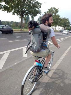 Smart-biciclistul: După ce hoţii l-au lăsat pieton, un IT-ist din Oradea a creat un adăpost securizat pentru biţe (FOTO)