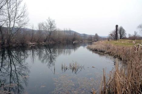 Pe-aici nu se trece! Reportaj la Uzinele de apă, zona cu cel mai strict regim de pază din Bihor (FOTO)