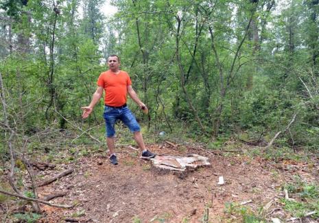 Acarul Păun: Acuzat de tăieri ilegale, un pădurar 'toarnă' abuzurile şefului de la Ocolul Silvic Oradea