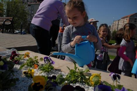 Dealul panseluţelor: Sute de flori plantate de copii lângă fântâna Companiei de Apă (FOTO)