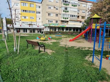 Trei coridoare verzi de circa un hectar şi încă o piaţetă vor fi amenajate în Oradea. Vezi aici cum vor arăta! (FOTO)