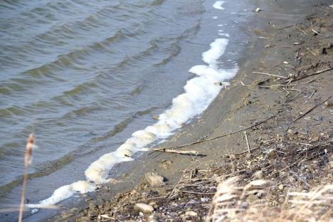 Rahat de VIP-uri: Lacul din Paleu este poluat sistematic cu dejecţiile proprietarilor de vile construite pe mal (FOTO)