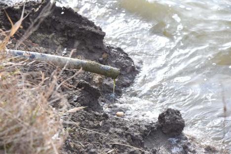 Rahat de VIP-uri: Lacul din Paleu este poluat sistematic cu dejecţiile proprietarilor de vile construite pe mal (FOTO)