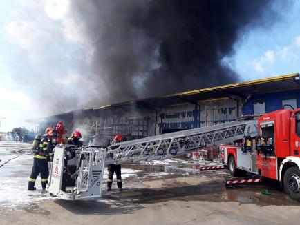 Prăpăd de la scântei: Detaliile incendiului care a mistuit depozitele companiilor Cargus şi Black Sea din Oradea. Cine e vinovatul? (FOTO/VIDEO)