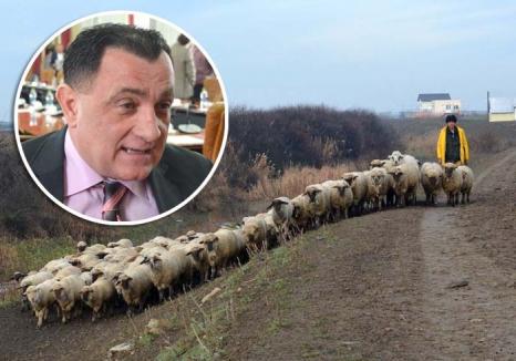 'Ciobanul' Dume: Directorul ABA Crişuri, Dorel Dume, proaspăt promovat şef la Bucureşti, e acuzat de corupţie