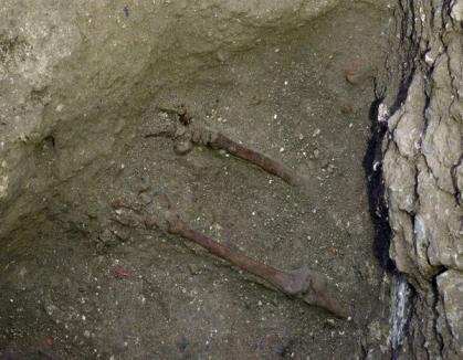 Noi file de istorie în Cetate: S-a descoperit scheletul unui om înstărit din Evul Mediu (FOTO)