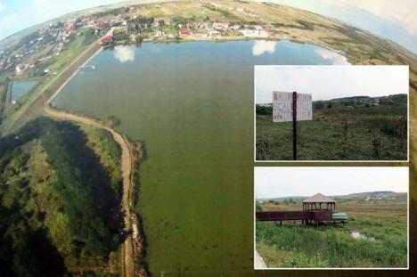 S-a furat un lac! Întins pe 14 hectare, lacul din Paleu a fost dispărut, cu apă şi peşti cu tot!