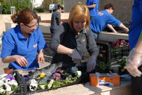 Dealul panseluţelor: Sute de flori plantate de copii lângă fântâna Companiei de Apă (FOTO)