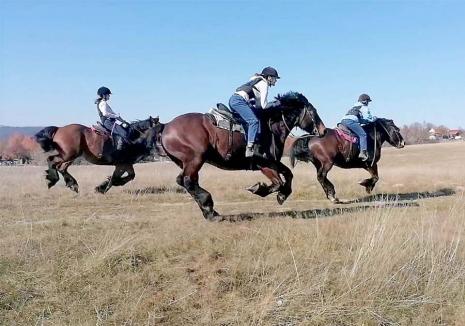 Pe cai! A reînceput sezonul ieșirilor călare în natură. Unde poți face echitație în Bihor? (FOTO/VIDEO)