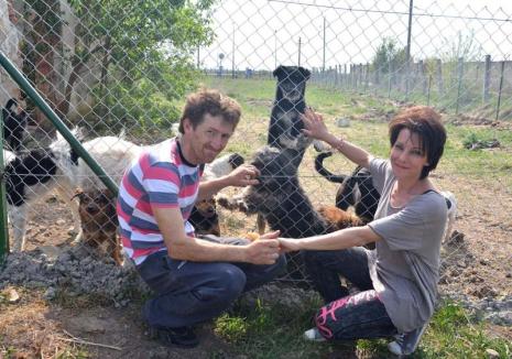 Haita Raksi: Un cuplu din Salonta îngrijeşte peste 180 de câini abandonaţi, într-un adăpost privat amenajat la marginea oraşului (FOTO / VIDEO)