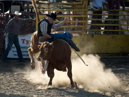 Let's rodeo! Baza hipică din Felix va găzdui prima competiţie internaţională de rodeo din ţară (FOTO)