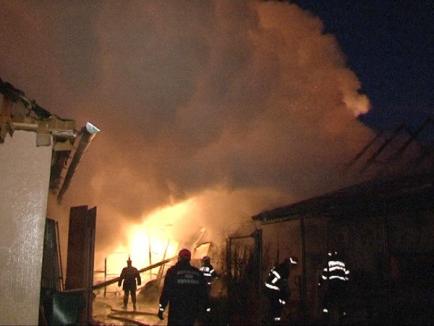 Atelier de tâmplărie distrus într-un incendiu la Salonta (FOTO/VIDEO)