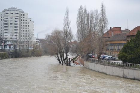 Peste 600 de hectare de teren inundate după ploile din weekend (FOTO)