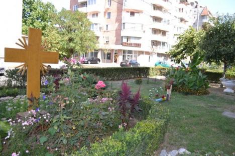 Grădinarul: Orădeanul care întreţine cea mai frumoasă grădină de la bloc (FOTO)