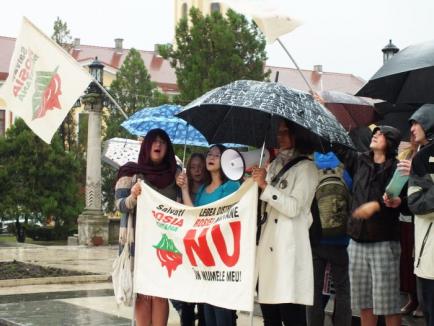 Puţini, dar consecvenţi: În ciuda ploii, orădenii continuă să protesteze pentru Roşia Montană (FOTO/VIDEO)