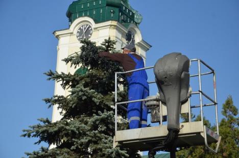 Oradea se pregăteşte pentru Crăciun: 14 kilometri de ghirlande sunt agăţate prin oraş (FOTO)