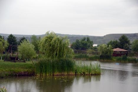 Cupa presei la pescuit a adunat ziariştii bihoreni pe marginea lacului din Husasău de Criş (FOTO)