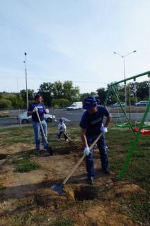 Voluntarii Provident şi picii din Dragoş Vodă au făcut un nou loc de joacă (FOTO/VIDEO)