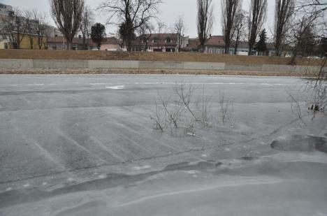 Crişul Repede a îngheţat, la fel ca toate râurile din judeţ (FOTO)