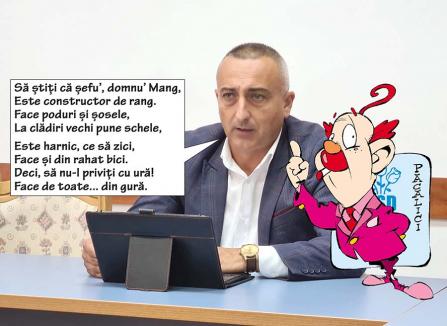 Partidul lui Pinocchio: PSD-iştii îşi arogă în mod mincinos meritele pentru noul pod de la Bulz