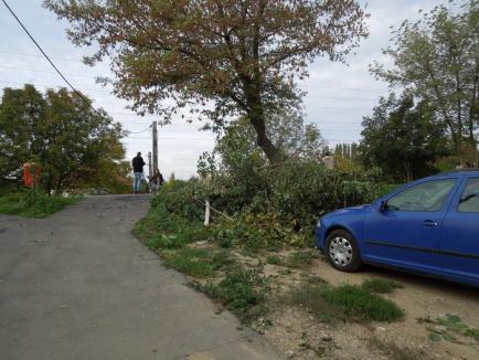 "Cascador" pe pista de biciclete: Un orădean a ajuns cu maşina în Peţa, după ce a urcat beat turtă la volan (FOTO / VIDEO)