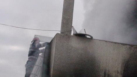 Vilă distrusă de foc pe dealurile Oradiei (FOTO / VIDEO)
