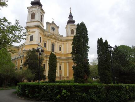 Verde înnourat: Ce urmăreşte Episcopia Romano-Catolică prin atacul la Bolojan (FOTO)