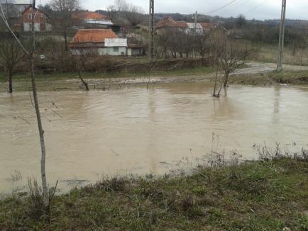 Peste 600 de hectare de teren inundate după ploile din weekend (FOTO)