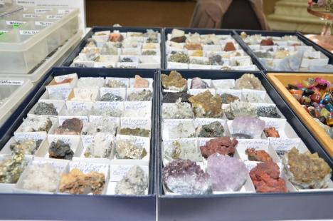 Expoziţie de pietre naturale, la Casa de Cultură a Sindicatelor (FOTO)