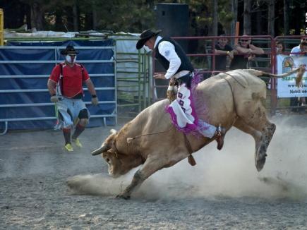 Let's rodeo! Baza hipică din Felix va găzdui prima competiţie internaţională de rodeo din ţară (FOTO)
